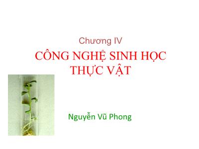 Bài giảng Công nghệ sinh học - Chương 4: Công nghệ sinh học Thực vật - Nguyễn Vũ Phong