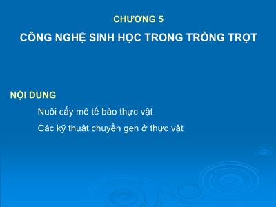 Bài giảng Công nghệ sinh học - Chương 5: Công nghệ sinh học trong trồng trọt