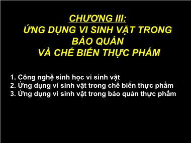 Bài giảng Công nghệ sinh học thực phẩm - Chương3: Ứng dụng vi sinh vật trong bảo quản và chế biến thực phẩm