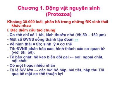 Bài giảng Động vật học - Chương 1: Động vật nguyên sinh