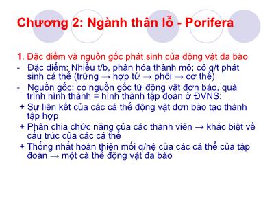 Bài giảng Động vật học - Chương 2: Ngành thân lỗ