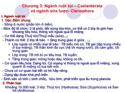 Bài giảng Động vật học - Chương 3: Ngành ruột túi và ngành sứa lược