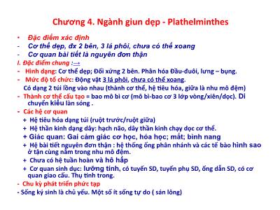 Bài giảng Động vật học - Chương 4: Ngành giun dẹp