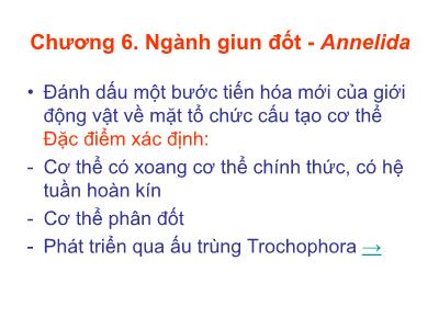 Bài giảng Động vật học - Chương 6: Ngành giun đốt-Annelida