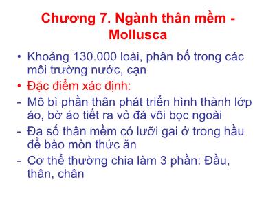 Bài giảng Động vật học - Chương 7: Ngành thân mềm-Mollusca