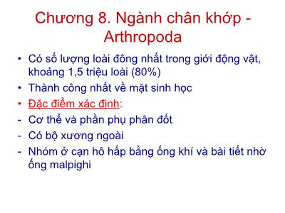 Bài giảng Động vật học - Chương 8: Ngành chân khớp-Arthriopoda