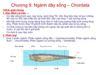 Bài giảng Động vật học - Chương 9: Ngành cây sống-Chordata