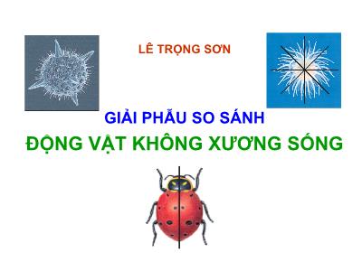 Bài giảng Động vật không xương sống - Chương 1: Những vấn đề chung