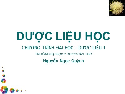 Bài giảng Dược liệu học - Nguyễn Ngọc Quỳnh