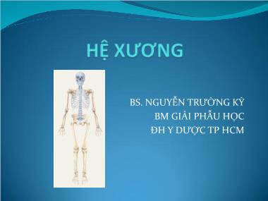 Bài giảng Hệ Xương - Nguyễn Trường Kỳ