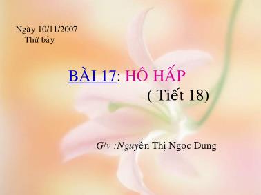 Bài giảng Hô hấp ở động vật - Bài 17: Hô hấp (Tiết 18) - Nguyễn Thị Ngọc Dung