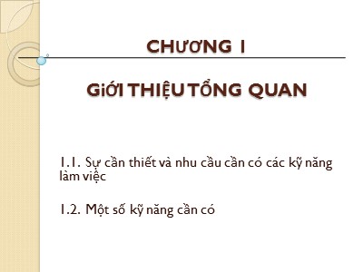 Bài giảng Kỹ năng làm việc - Chương 1: Giới thiệu Tổng quan