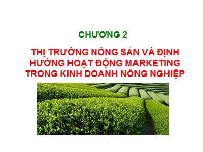 Bài giảng Marketing nông nghiệp - Chương 2: Thị trường nông sản và định hướng hoạt động marketing trong kinh doanh nông nghiệp