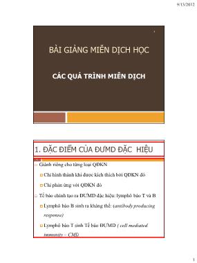 Bài giảng Miễn dịch học - Chương 4: Các quá trình miễn dịch