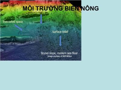 Bài giảng Môi trường biển nông