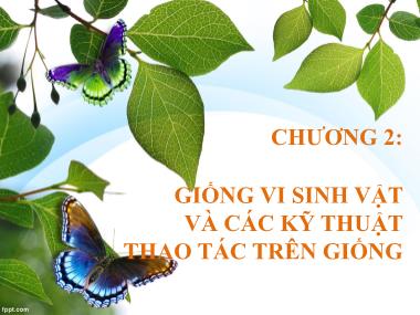 Bài giảng Môn học Vi sinh thực phẩm - Chương 2: Giống vi sinh vật và các kỹ thuật thao tác trên giống