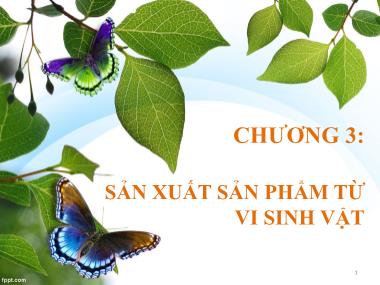 Bài giảng Môn học Vi sinh thực phẩm - Chương 3: Sản xuất sản phẩm từ vi sinh vật