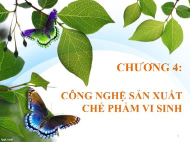 Bài giảng Môn học Vi sinh thực phẩm - Chương 4: Công nghệ sản xuất chế phẩm vi sinh