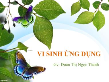 Bài giảng Môn học Vi sinh thực phẩm - Chương 5: Vi sinh ứng dụng - Đoàn Thị Ngọc Thanh