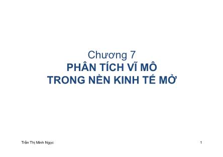 Bài giảng Phân tích vĩ mô trong nền kinh tế mở - Trần Thị Minh Ngọc