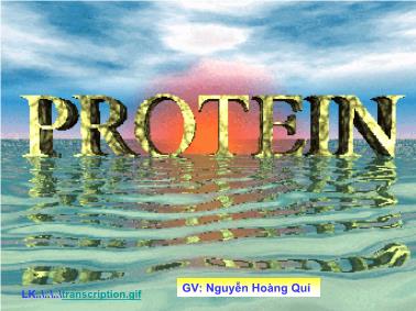 Bài giảng Protein - Nguyễn Hoàng Quý