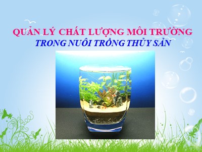 Bài giảng Quản lý chất lượng môi trường trong nuôi trồng thủy sản