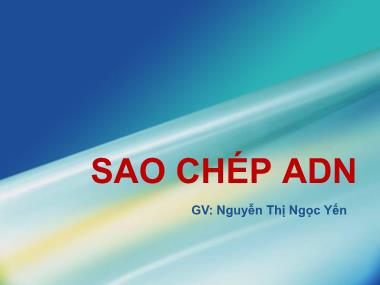 Bài giảng Sao chép ADN - Nguyễn Thị Ngọc Yến