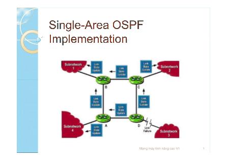 Bài giảng Single-Area OSPF Implementation - Âu Bửu Long