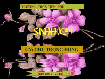 Bài giảng Sinh học 9 - Bài 3: Lai một cặp tính trạng (Tiếp theo) - Chu Trọng Đông