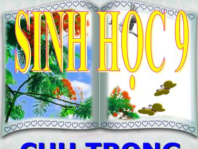 Bài giảng Sinh học 9 - Bài 44: Ảnh hưởng lẫn nhau giữa các sinh vật - Chu Trọng Đông