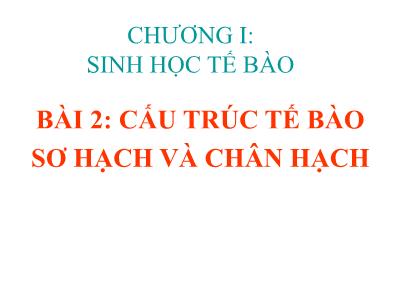 Bài giảng Sinh học di truyền - Chương 1: Sinh học tế bào