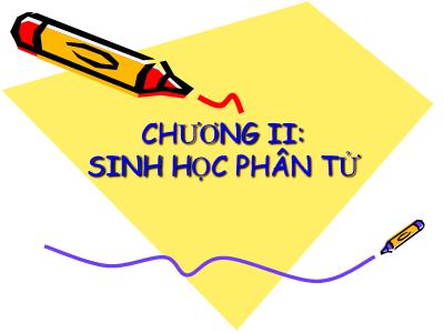 Bài giảng Sinh học di truyền - Chương 2: Sinh học phân tử