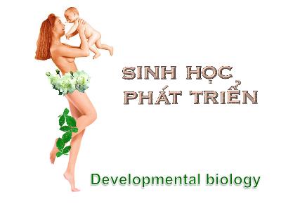 Bài giảng Sinh học phát triển (Bản đẹp)