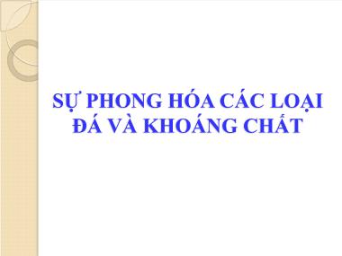 Bài giảng Sinh thái môi trường - Bài 2: Sự phong hóa các loại đá và khoáng chất