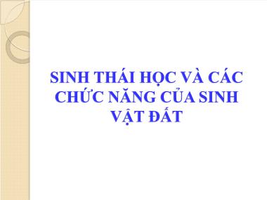 Bài giảng Sinh thái môi trường - Bài 7: Sinh thái học và các chức năng của sinh vật đất