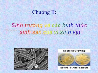 Bài giảng Sinh trưởng và các hình thức sinh sản của vi sinh vật