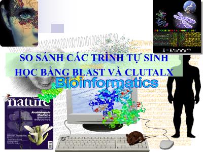 Bài giảng So sánh các trình tự sinh học bằng blast và clutalx