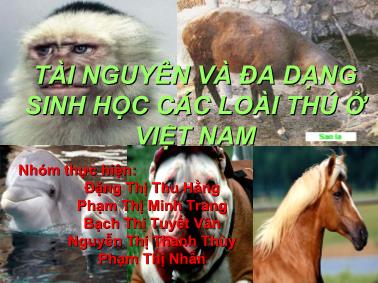 Bài giảng Tài nguyên và đa dạng sinh học các loài thú ở Việt Nam - Đặng Thị Thu Hằng