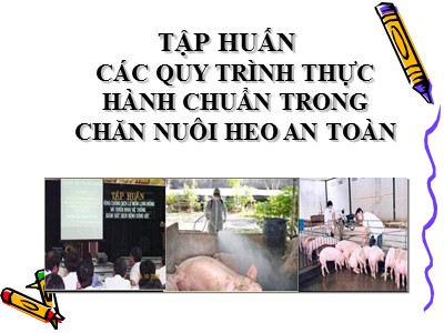 Bài giảng Tập huấn các quy trình thực hành chuẩn trong chăn nuôi heo an toàn