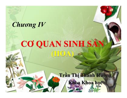 Bài giảng Thực vật và phân loại thực vật - Chương 4: Cơ quan sinh sản (Hoa) - Trần Thị Thanh Hương