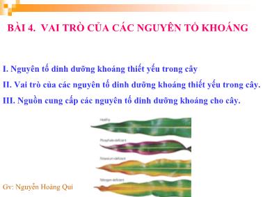 Bài giảng Vai trò của các nguyên tố khoáng