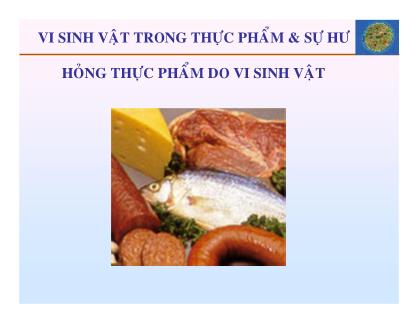 Bài giảng Vi sinh vật trong thực phẩm và sự hư hỏng thực phẩm do vi sinh vật