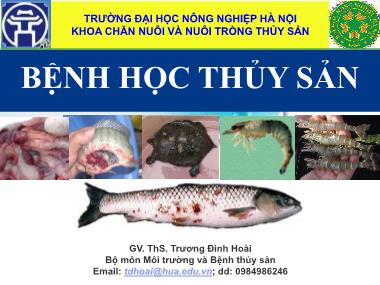 Giáo trình Bệnh học thủy sản - Phần 1: Đại cương về thủy sản