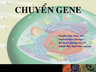 Giáo trình Chuyển Gene - Nguyễn Thái Thủy