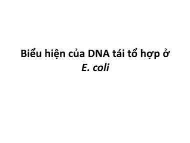 Giáo trình Công nghệ di truyền - Chương 6: Biểu hiện của DNA tái tổ hợp E.coli