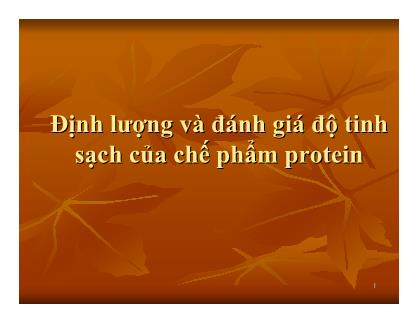 Giáo trình Công nghệ Protein - Chương 10: Định lượng và đánh giá độ tinh sạch của chế phẩm Protein