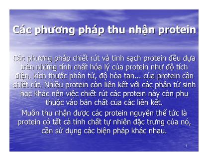 Giáo trình Công nghệ Protein - Chương 3: Nồng độ Proton (pH)