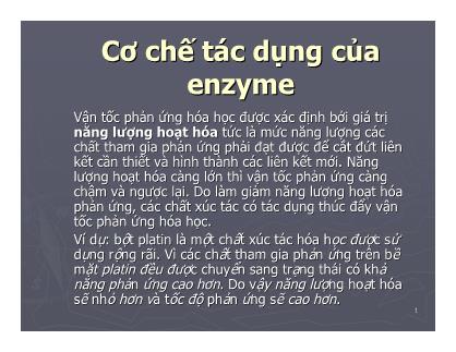 Giáo trình Công nghệ Protein - Chương 6: Cơ chế tác dụng của Enzyme