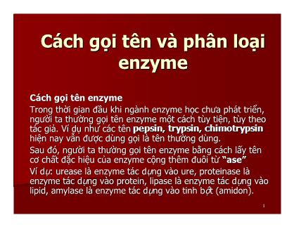 Giáo trình Công nghệ Protein - Chương 8: Cách gọi tên và phân loại enzyme