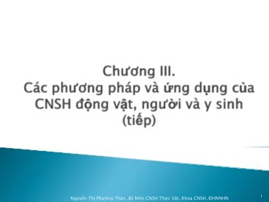 Giáo trình Công nghệ sinh học - Chương 3: Các phương pháp và ứng dụng của công nghệ sinh học động vật, người và y sinh (Tiếp theo) - Nguyễn Thị Phương Thảo